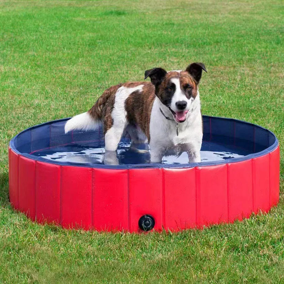 Piscina Plegable para Perros