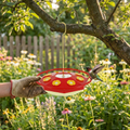 Hummingbird Feeder lifestyle