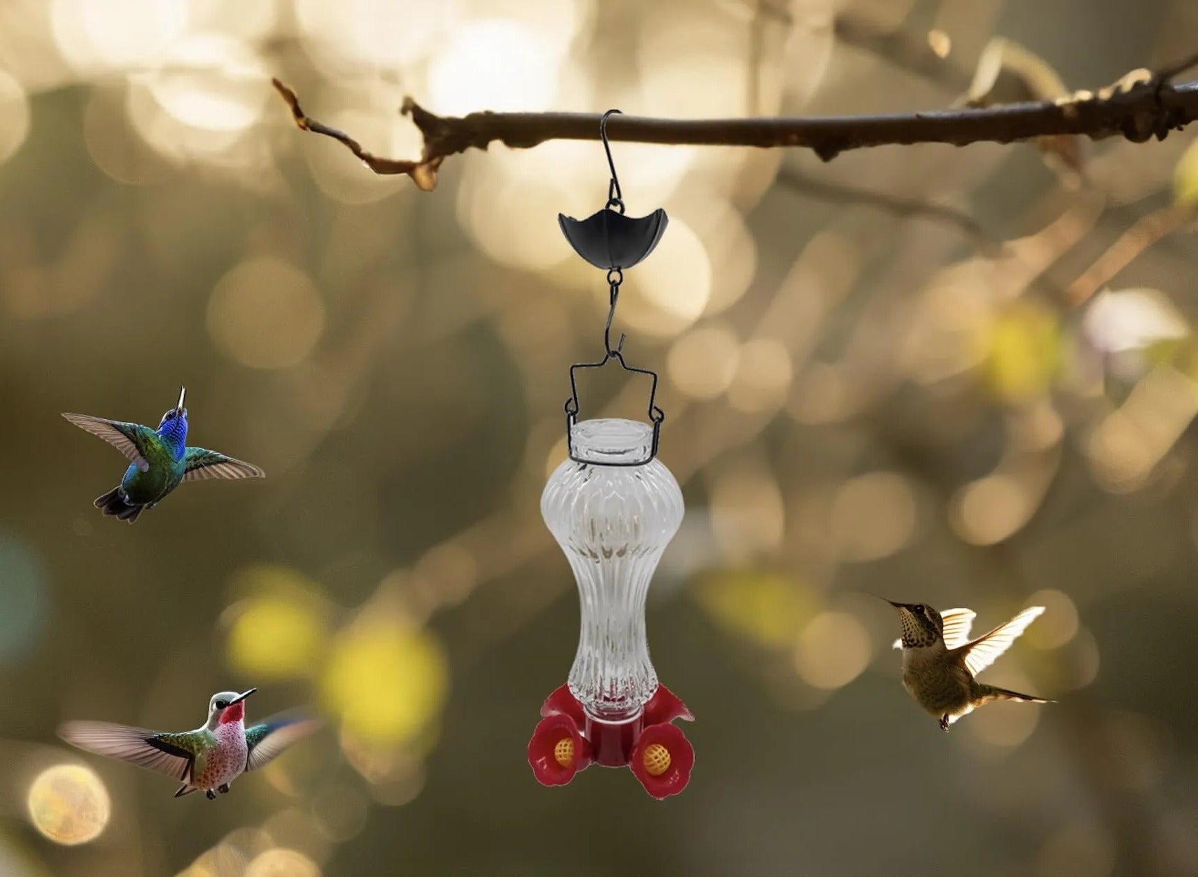 Comedero de colibrí de vidrio con flores y foso para hormigas